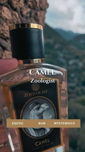 وراء كل عطر حكاية... اليوم نكتشفو مع بعضياتنا Camel من Zoologist 🐪🏜️ ريحة كتخليك تعيش جو الصحراء
#fragrance #scent #niche #perfume #storytelling