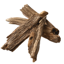 Agarwood (Oud)