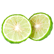 Bergamot