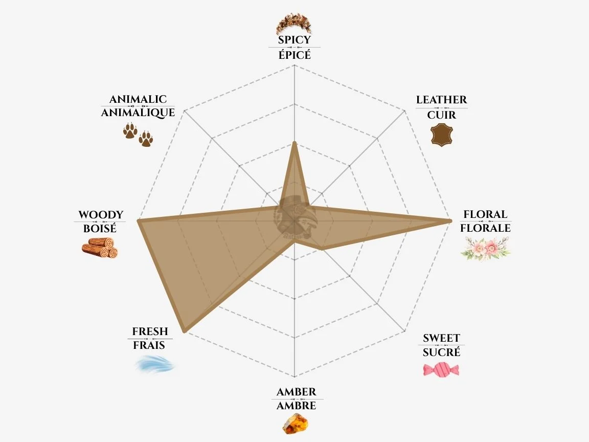 Byredo Desert Dawn fragrance notes radar chart — niche perfume profile