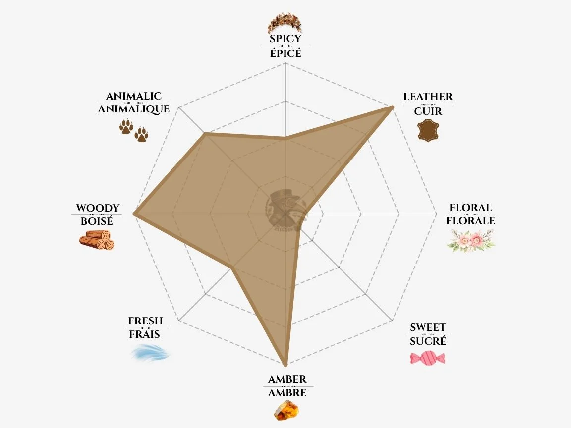 Olfactive Studio Ombre Indigo fragrance notes radar chart — niche perfume profile