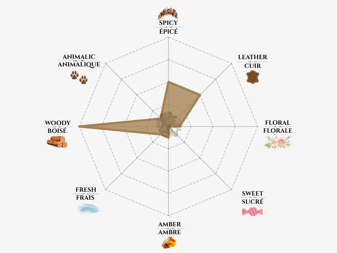 Xerjoff Don fragrance notes radar chart — niche perfume profile