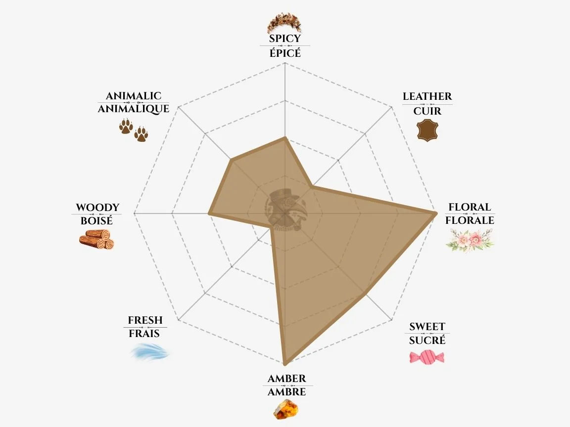 Xerjoff More Than Words fragrance notes radar chart — niche perfume profile