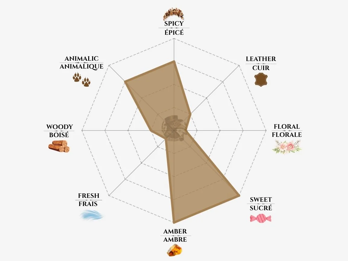 Zoologist Camel fragrance notes radar chart — niche perfume profile