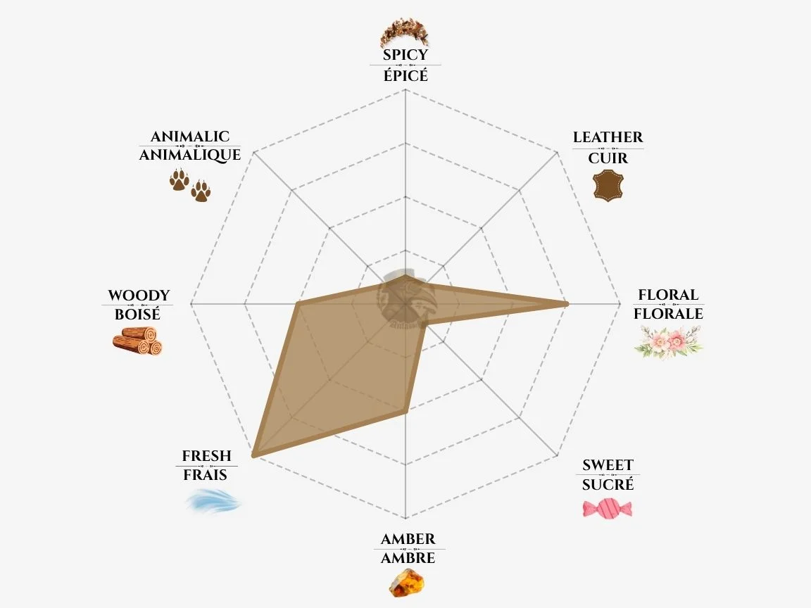 Byredo Blanche fragrance notes radar chart — niche perfume profile