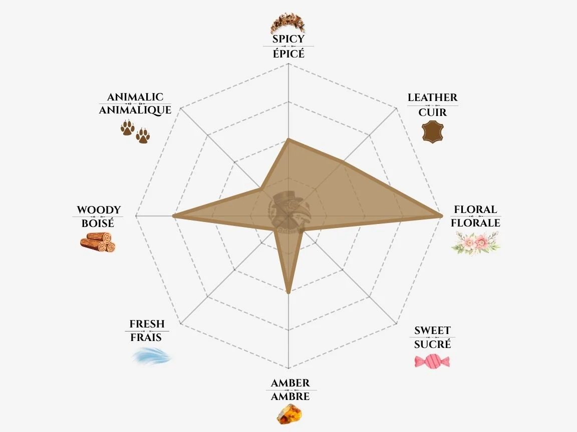 Dior Homme Intense fragrance notes radar chart — niche perfume profile