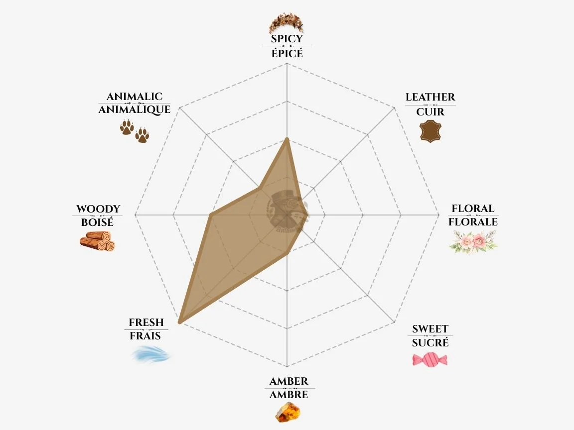 Giorgio Armani Profondo fragrance notes radar chart — niche perfume profile