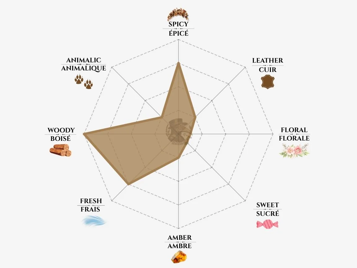 Hermes Terre d'Hermes fragrance notes radar chart — niche perfume profile