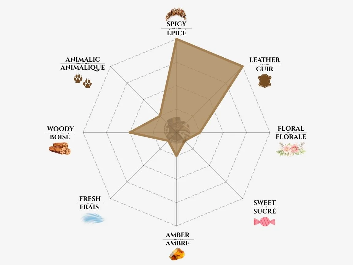 Memo African Leather fragrance notes radar chart — niche perfume profile