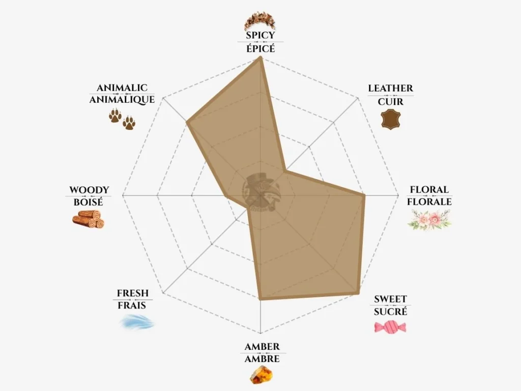 Montale Arabian Tonka perfume bottle — decant available in Morocco at Anfassi