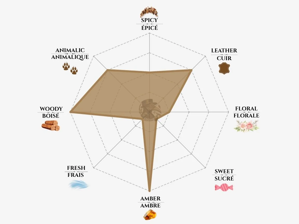 Nasomatto Black Afgano fragrance notes radar chart — niche perfume profile