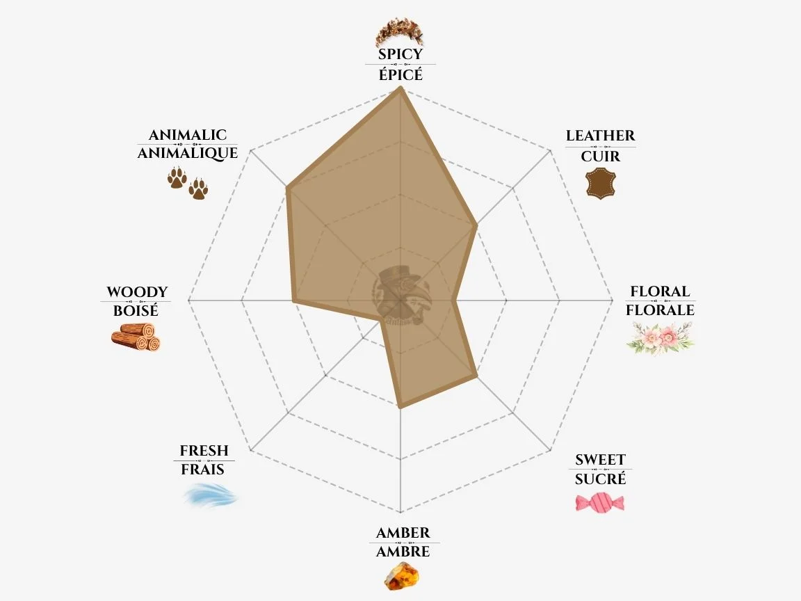 Nasomatto Pardon fragrance notes radar chart — niche perfume profile