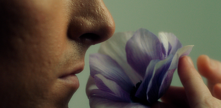 niche perfume guide Morocco