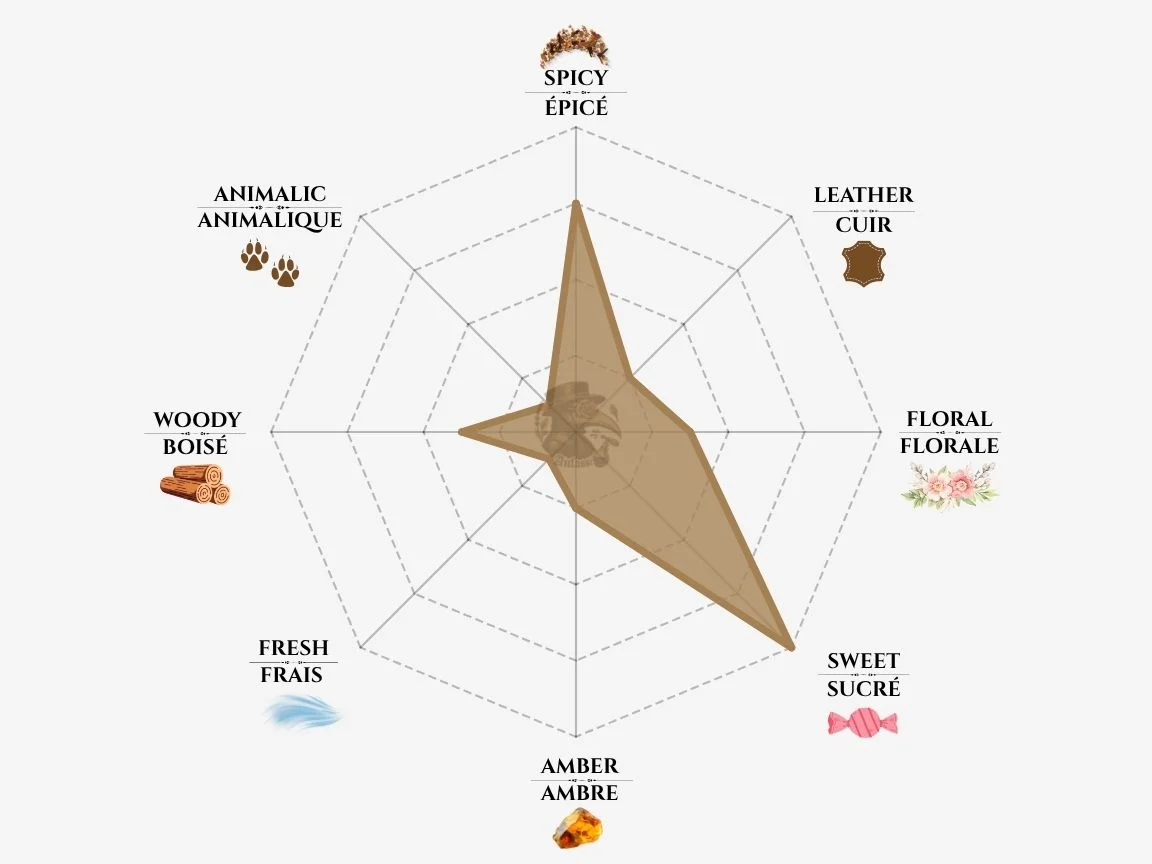 YSL Black Opium fragrance notes radar chart — niche perfume profile