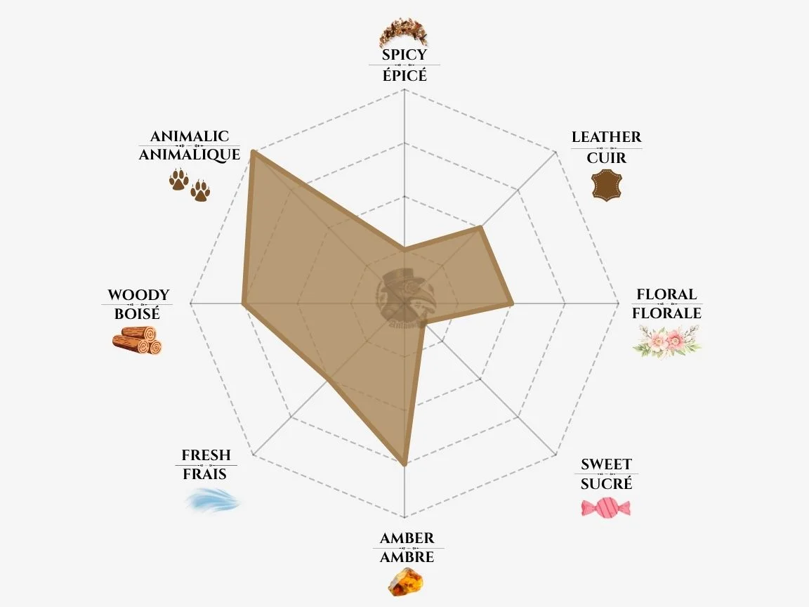 Zoologist Panda fragrance notes radar chart — niche perfume profile